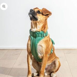 Wild One Dog Harness - Spruce